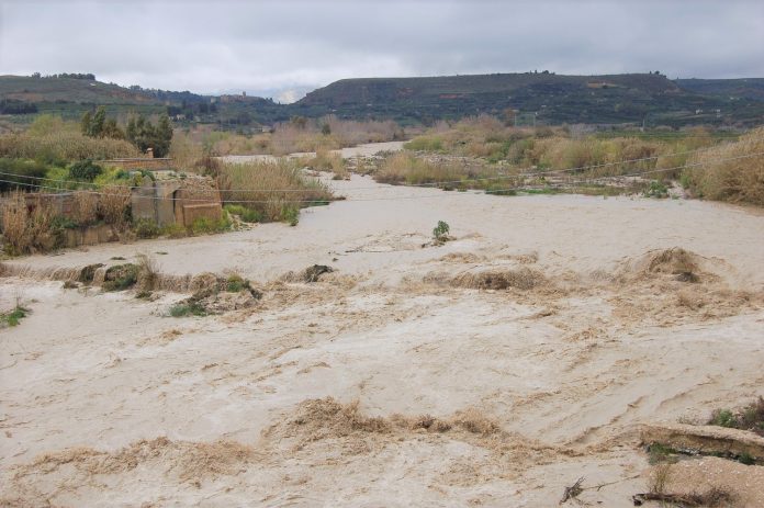 Fiume Sosio -Verdura in piena