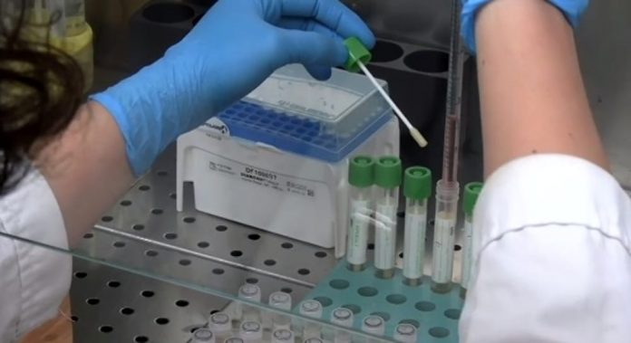 tampone coronavirus 2