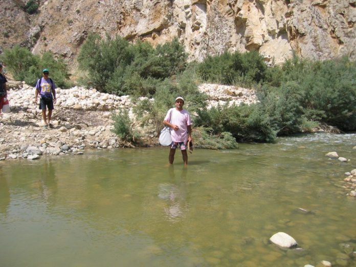 IMG-20220610-WA0006