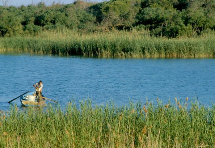 fiume Platani