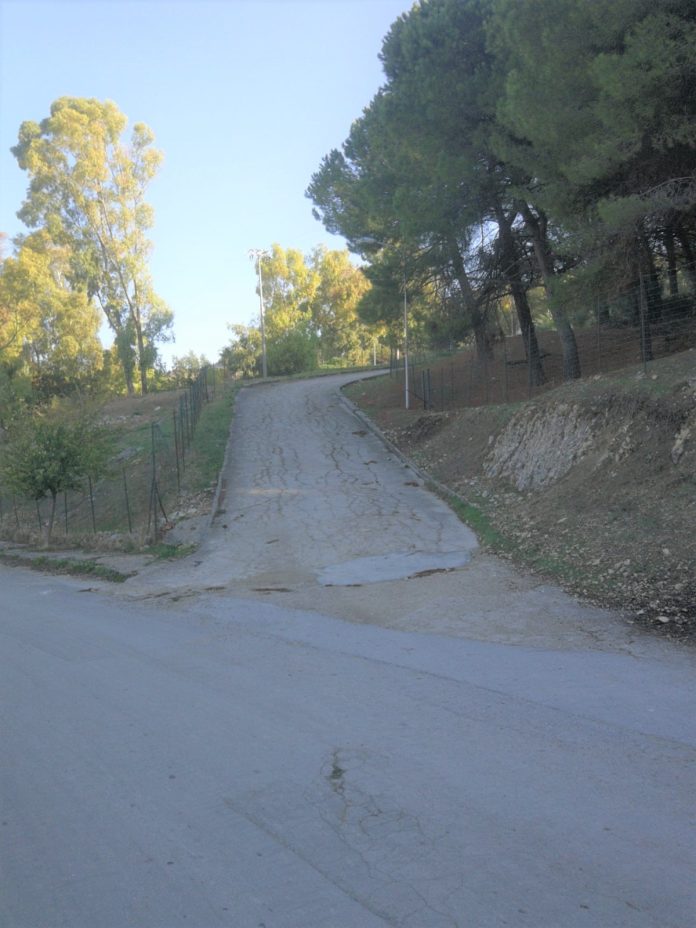 IMG-20221216-WA0016