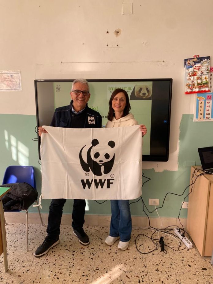 wwf