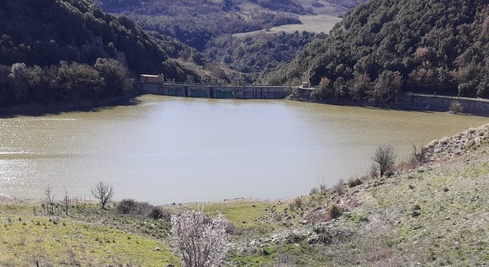 IMG-20250329-WA0031