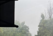 Ribera: Bloccata la SS115, alberi in contrada Giardinello