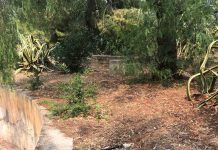 Ribera: Siglato il patto per il verde pubblico
