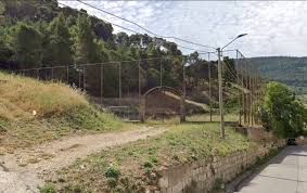 IMG-20261011-WA0004